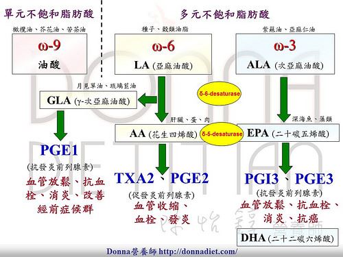 (圖片提供/Donna陳怡錞營養師)