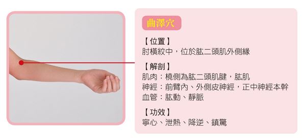 (圖片提供/《超代謝‧經絡淋巴按摩》一書)