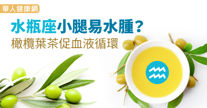 水瓶座小腿易水肿?橄榄叶茶促血液循环