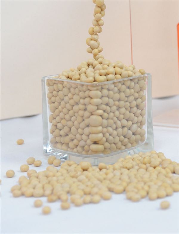 針對基改黃豆的傷身和致癌爭議，國際間迄今未有定論，但國內法規規定基改原料含量超過5％的產品應標示「基因改造」字樣。