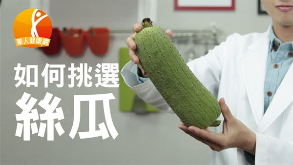 中國醫藥大學營養系陳柏鈞營養師，教我們如何挑選「絲瓜」。（攝影／江旻駿）