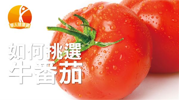 牛番茄如何挑選小撇步。
