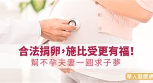 「捐卵 好處」的圖片搜尋結果