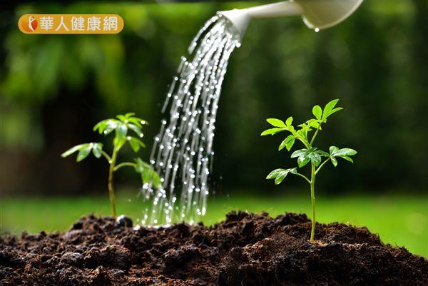 子宮就像一片土壤，平日身體會以各種營養物質灌溉土壤，為將來孕育種子（生命）做好準備。